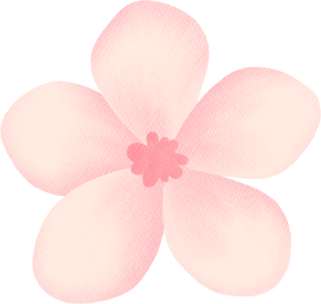 white peach blossom