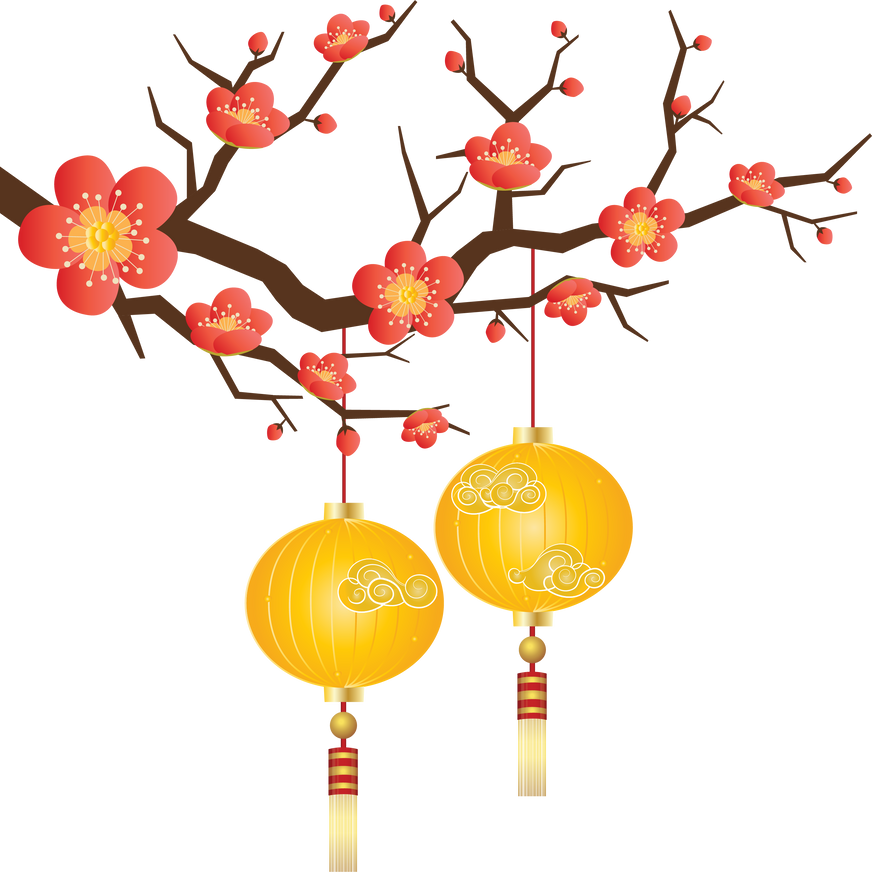 Apricot Blossom