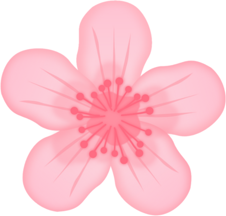 icon sakura cheery blossom